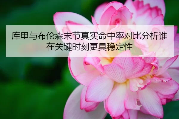 库里与布伦森末节真实命中率对比分析谁在关键时刻更具稳定性