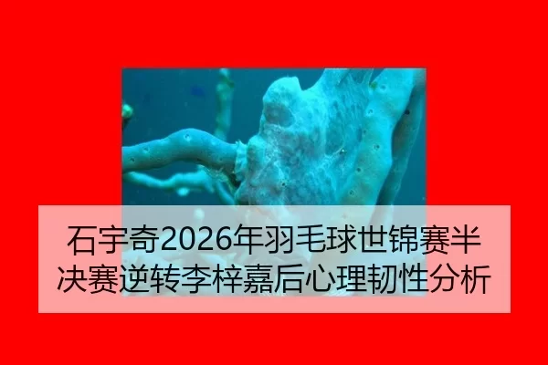 shi-yu-qi-nian-yu-mao-qiu-shi-jin-sai-ban-jue-sai-ni-zhuan-li-zi-jia-hou-xin-li-ren-xing-fen-xi-2-879.jpg